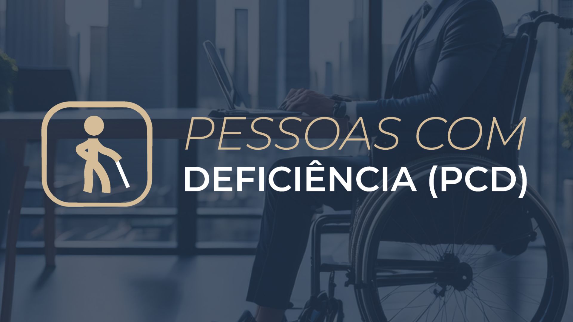 Comitê de Inclusão de Pessoas com Deficiência (PCD)